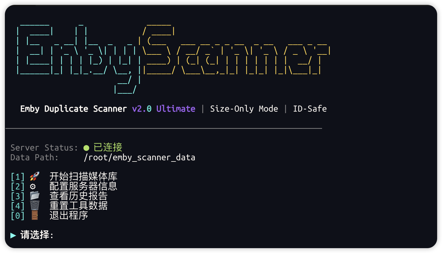 Emby媒体库重复检测工具